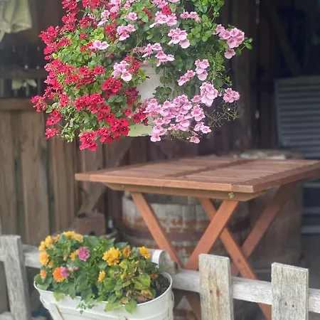 Lootsimaja - Pilot's House - Harbour Vikendica Orjaku