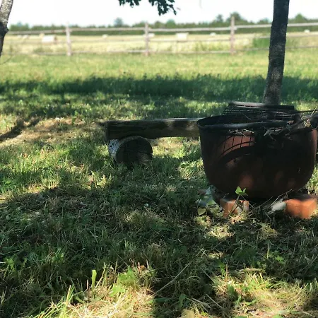 Lootsimaja - Pilot's House - Harbour Vikendica