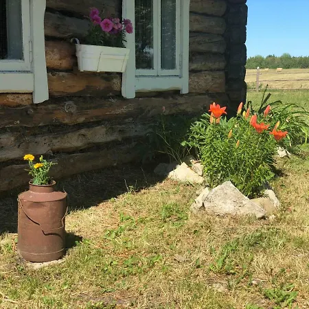 Vikendica Lootsimaja - Pilot's House - Harbour Orjaku