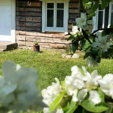 Vikendica Lootsimaja - Pilot's House - Harbour Orjaku