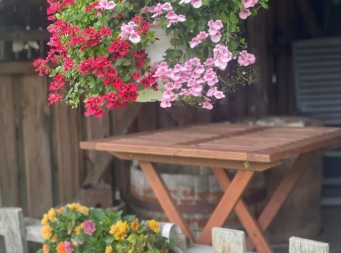 Lootsimaja - Pilot's House - Harbour Dom wakacyjny Orjaku