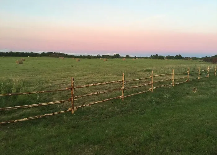 Dom wakacyjny Lootsimaja - Pilot's House - Harbour *