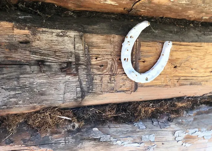 Dom wakacyjny Lootsimaja - Pilot's House - Harbour *